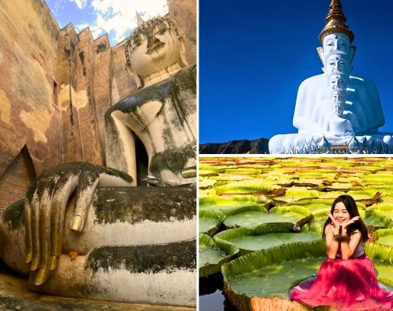 新・タイ北部よくばり旅！絶景×映え×世界遺産サイクリング ×願いが叶うビッグロータス　1泊2日プラン